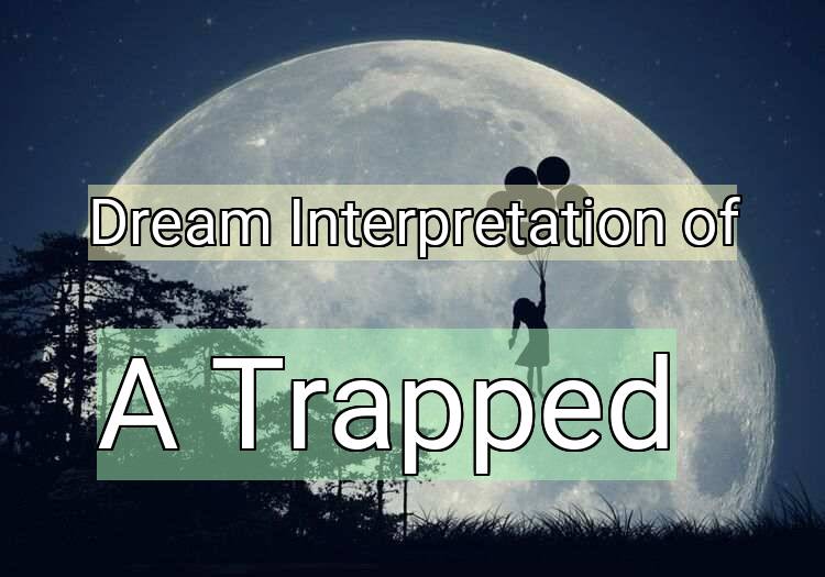 Dream Interpretation of a trapped - A Trapped dream meaning