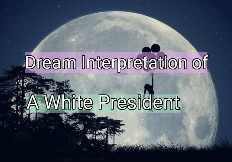 Dream Interpretation of a white president - A White President dream meaning