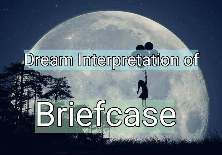 Dream Interpretation of briefcase - Briefcase dream meaning