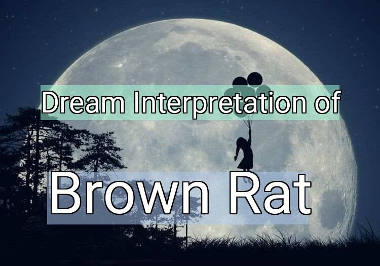 Dream Interpretation of brown rat - Brown Rat dream meaning