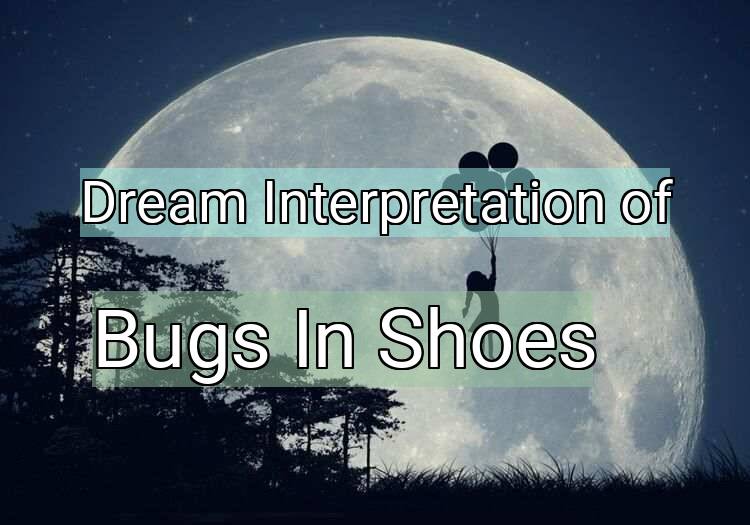 Dream Interpretation of bugs in shoes - Bugs In Shoes dream meaning