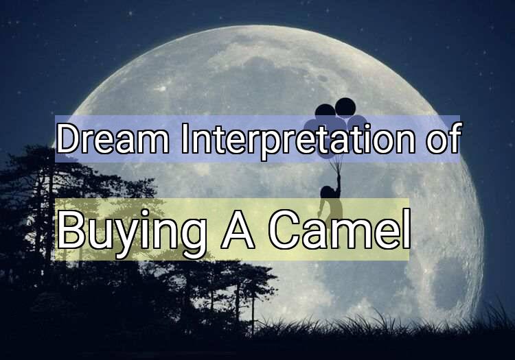 Dream Interpretation of buying a camel - Buying A Camel dream meaning