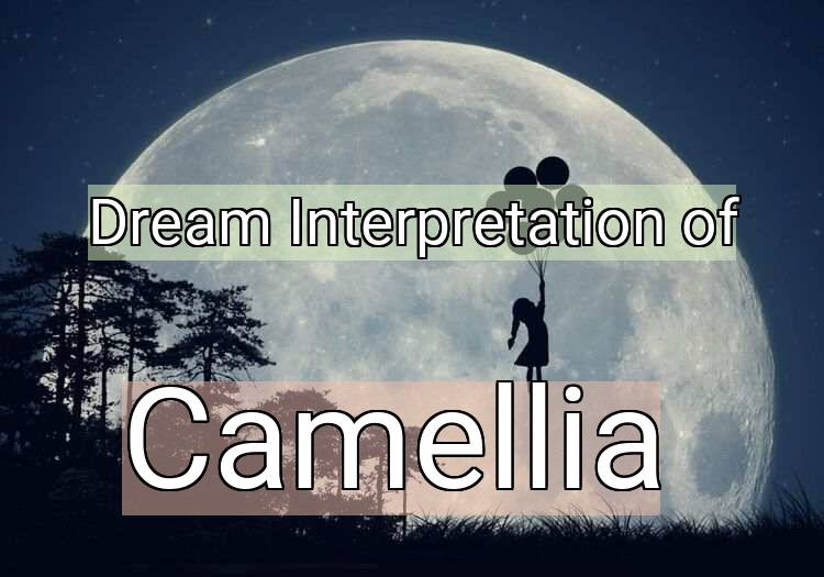 Dream Interpretation of camellia - Camellia dream meaning
