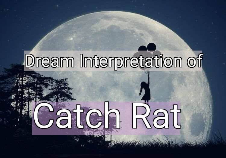 Dream Interpretation of catch rat - Catch Rat dream meaning