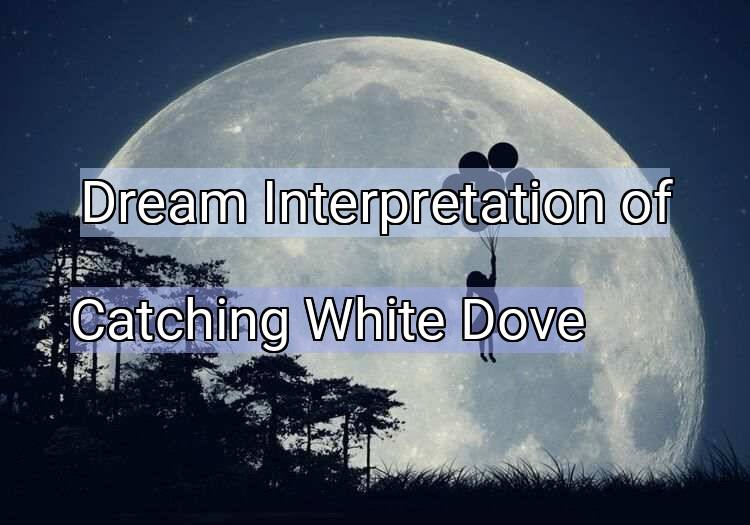 Dream Interpretation of catching white dove - Catching White Dove dream meaning
