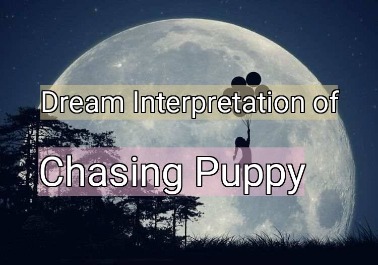 Dream Interpretation of chasing puppy - Chasing Puppy dream meaning