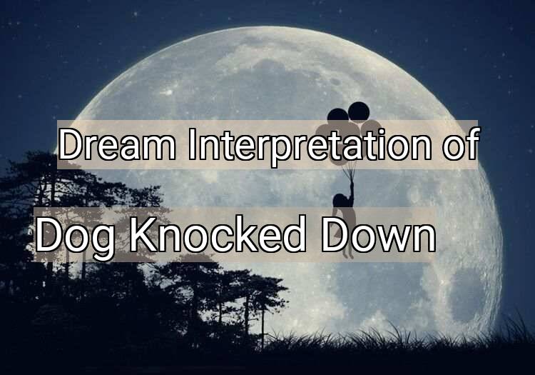 Dream Interpretation of dog knocked down - Dog Knocked Down dream meaning