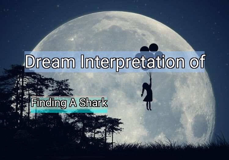 Dream Interpretation of finding a shark - Finding A Shark dream meaning