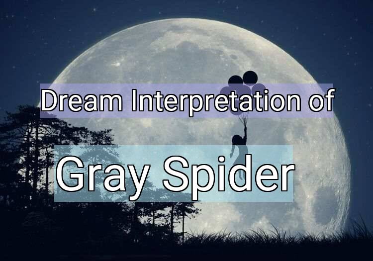 Dream Interpretation of gray spider - Gray Spider dream meaning