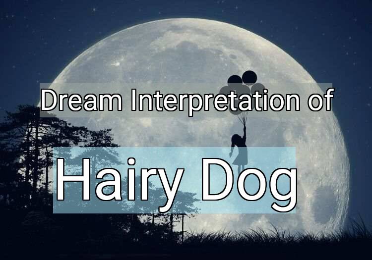 Dream Interpretation of hairy dog - Hairy Dog dream meaning