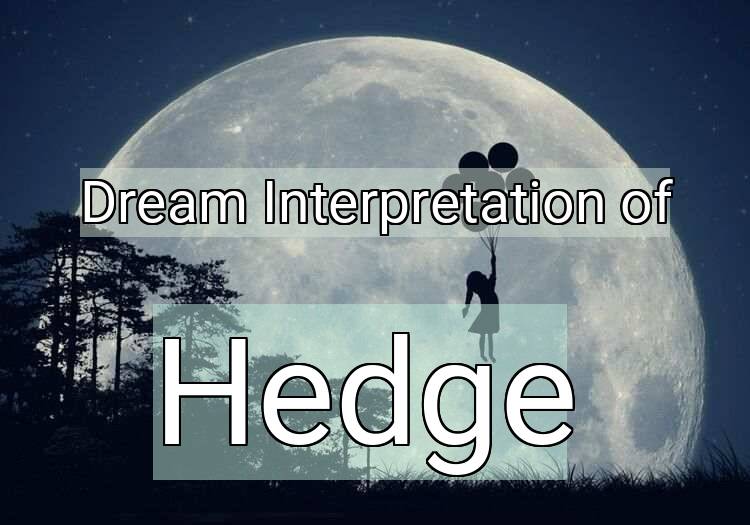 Dream Interpretation of hedge - Hedge dream meaning