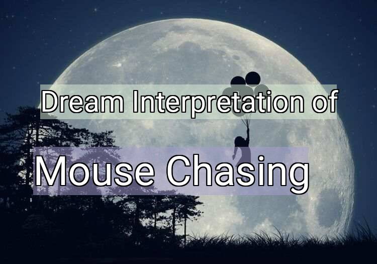 Dream Interpretation of mouse chasing - Mouse Chasing dream meaning
