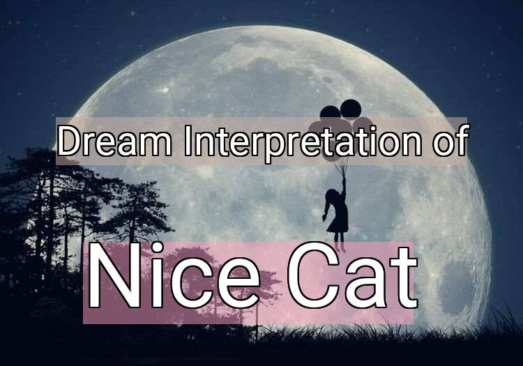 Dream Interpretation of nice cat - Nice Cat dream meaning