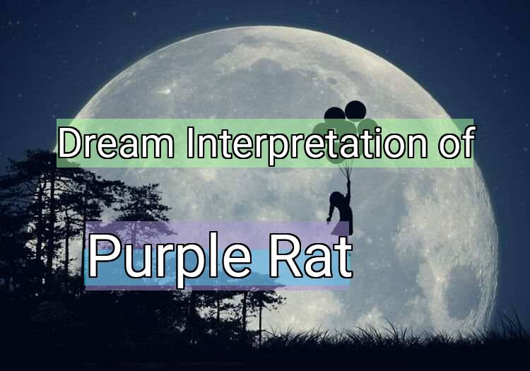 Dream Interpretation of purple rat - Purple Rat dream meaning