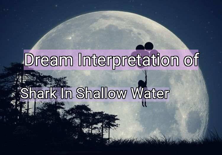 Dream Interpretation of shark in shallow water - Shark In Shallow Water dream meaning
