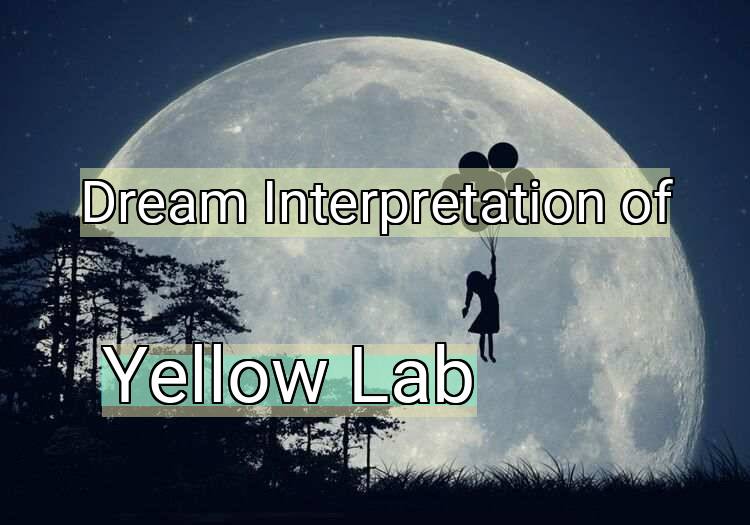 Dream Interpretation of yellow lab - Yellow Lab dream meaning